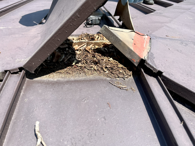 台風の強風でめくれた屋根の棟板金